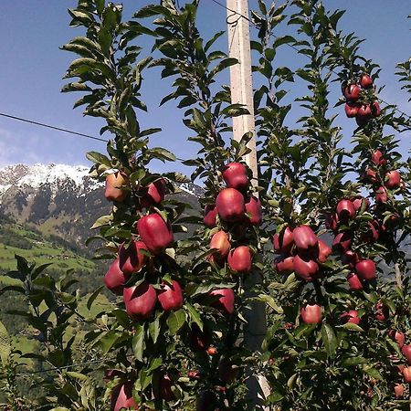 Zimmervermietung Groeberhof Schenna Εξωτερικό φωτογραφία